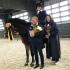 MDA Christmas - Theme Schooling Show